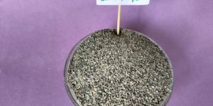 16/30 Mesh Dry M Sand