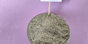 50/150 Mesh Dry M Sand