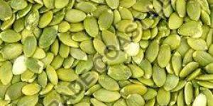 Pumpkin Seeds