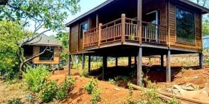 Wooden House Designing Services