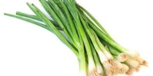 Fresh Green Onion