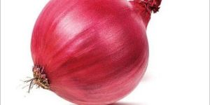 Fresh Pink Onion