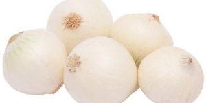 Fresh White Onion