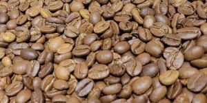 Monsooned Malabar Coffee Beans