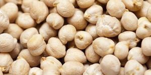 White Chickpeas