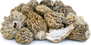 Dried Morels Mushroom