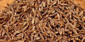 Organic Cumin Seed