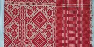 Podmini Assamese Gamusa