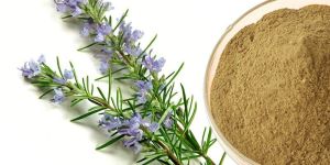 Rosemary Powder
