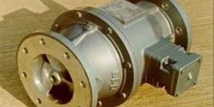 Glandless Transformer Oil Pump