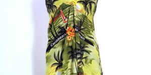 Summertime Delight Dress