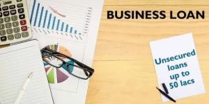 Business Loan Consultancy Service
