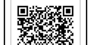 Money Transfer Services