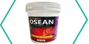 Rishikesh Ocean Ace Emulsion Paint