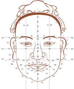 Face Reading Service