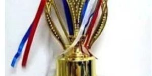 Fiber Diamond Trophy