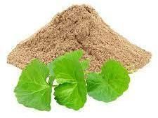 Bacopa Monnieri Powder