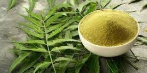 Neem Leaves Powder