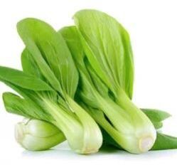 Fresh Bok Choy