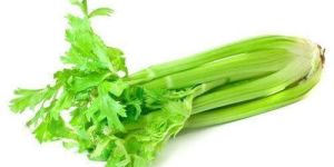 Fresh Celery