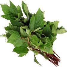 Fresh Gongura Leaves