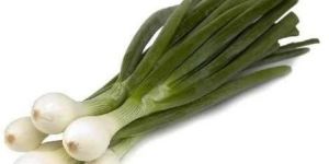 Fresh Spring Onion