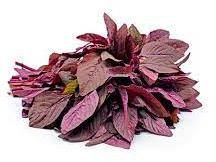 Red Amaranth / Red Molai Leaves