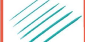 Ureteral Dilator Set