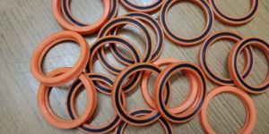 Rod Seals