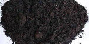 Black G Organic Fertilizer