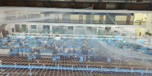 Industrial Safety Nets