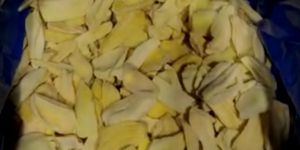 Frozen Jackfruit