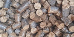 Mustard Briquettes
