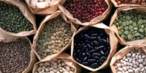 Indian Pulses