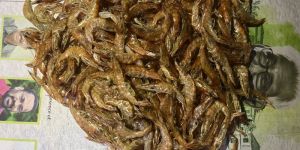 Dry Prawns Large Size