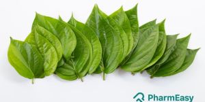 Betel Leaf