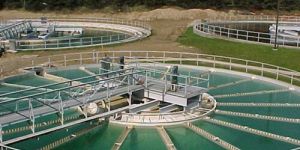 Sewage Treatment Plant