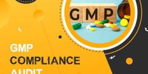 WHO GMP Audit in Pune