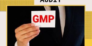 GMP Certification in Mumbai