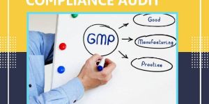 GMP Certification in Pune