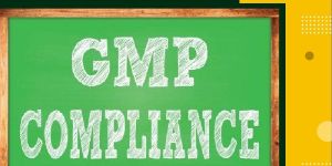 GMP Certification in Chennai