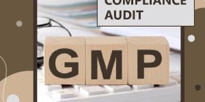 WHO GMP Audit in Ahmedabad