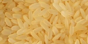 Indian Parboil Rice