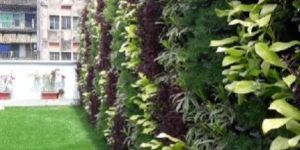 Vertical Wall Garden