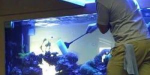 Aquarium Maintenance Service