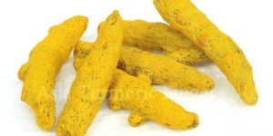 Turmeric Finger