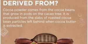 Cocoa Powder