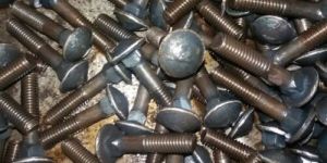 Carriage Bolts