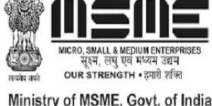 MSME Expert