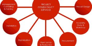Project Consultancy Services